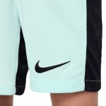 Chelsea chelsea nike dritte stadionshorts 2023-24 – kinder Trikot - Exklusive Chelsea Fußballbekleidung